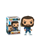 Funko aquaman 2